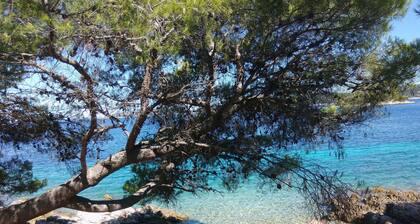 Your Place in Primosten