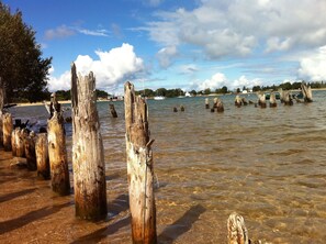 A coastal scene with wooden posts in shallow water, a clear sky, and distant buildings.