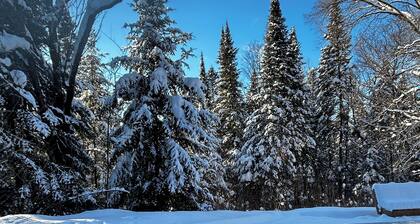 Lakeside privacy in the middle of nature in the heart of Laurentides