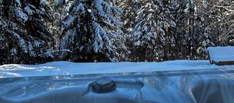 Lakeside privacy in the middle of nature in the heart of Laurentides