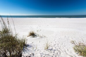 Beach nearby - Heart of Treasure Island | Pool & Near Beach (Treasure Island)
