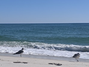Beach towels