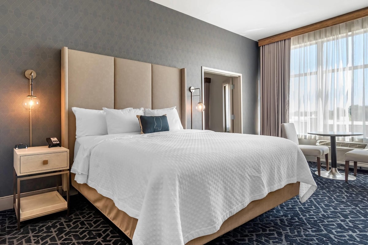 Suite Exécutive, 1 trÚs grand lit, non-fumeur