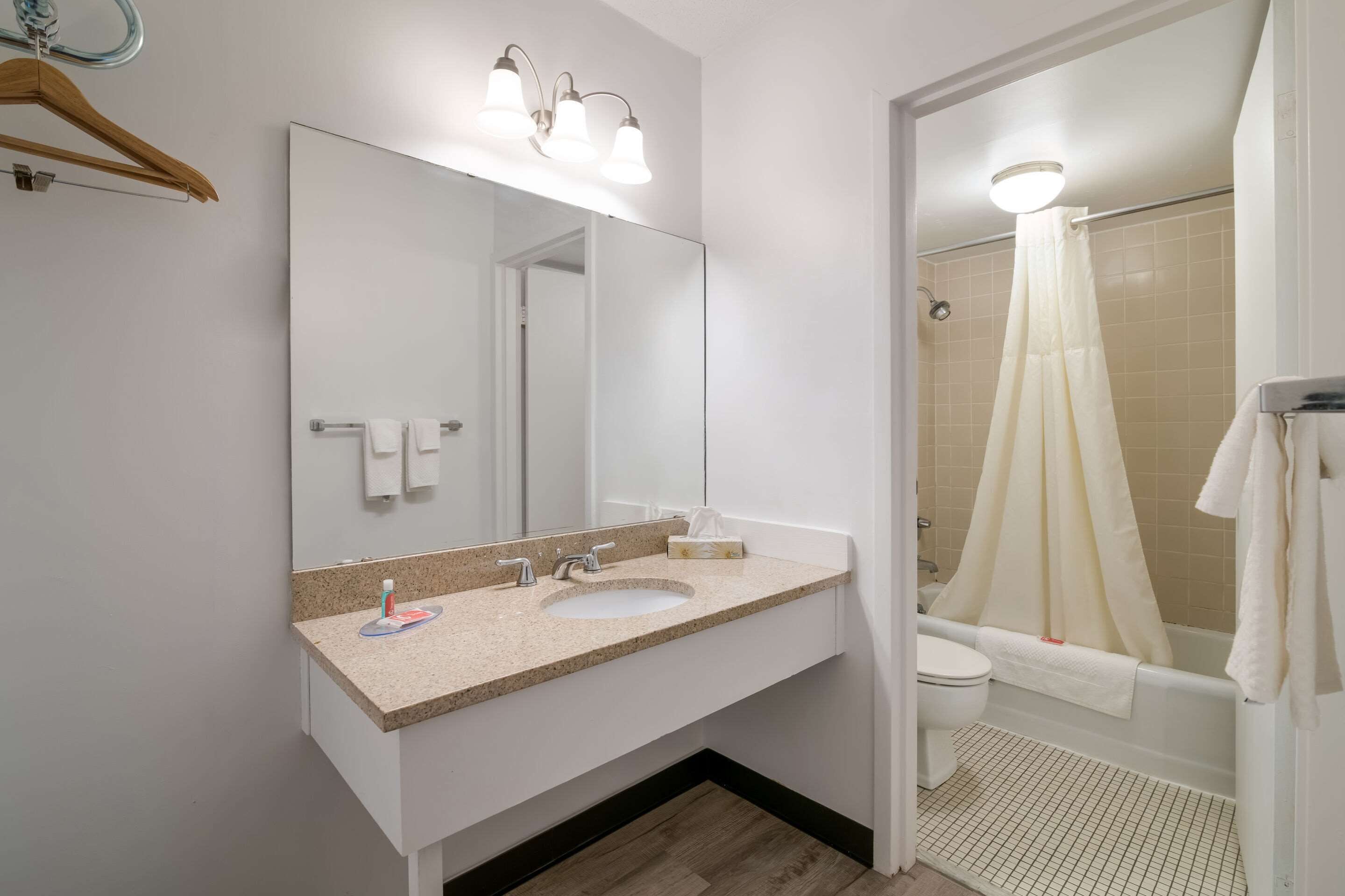 Chambre Standard, 1 très grand lit, non-fumeur | Salle de bain | Articles de toilette (gratuits), séchoir à cheveux