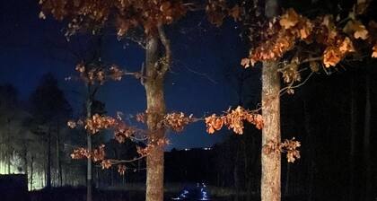 7 Bed 2 Bath walk to the lake