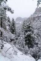 Un paisaje de bosque nevado con densos árboles de hoja perenne y un risco al fondo.