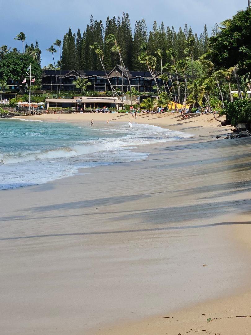 A beach with a resort in the background, featuring a sandy shore, ocean waves, and palm trees.