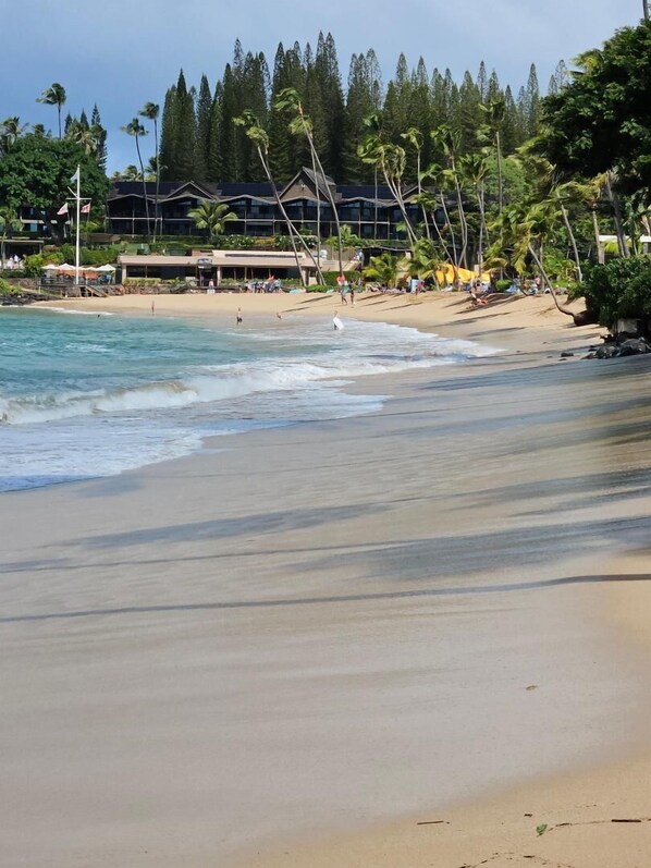 A beach with a resort in the background, featuring a sandy shore, ocean waves, and palm trees.