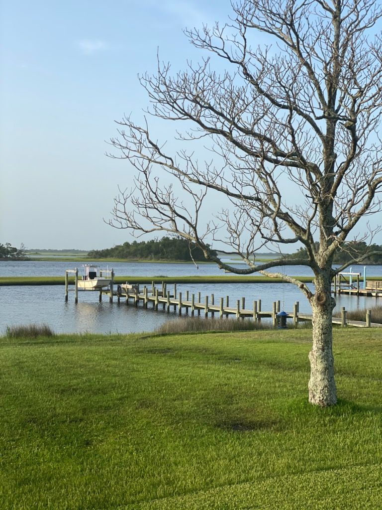 A tree-lined grassy area with a dock extending into a body of water.