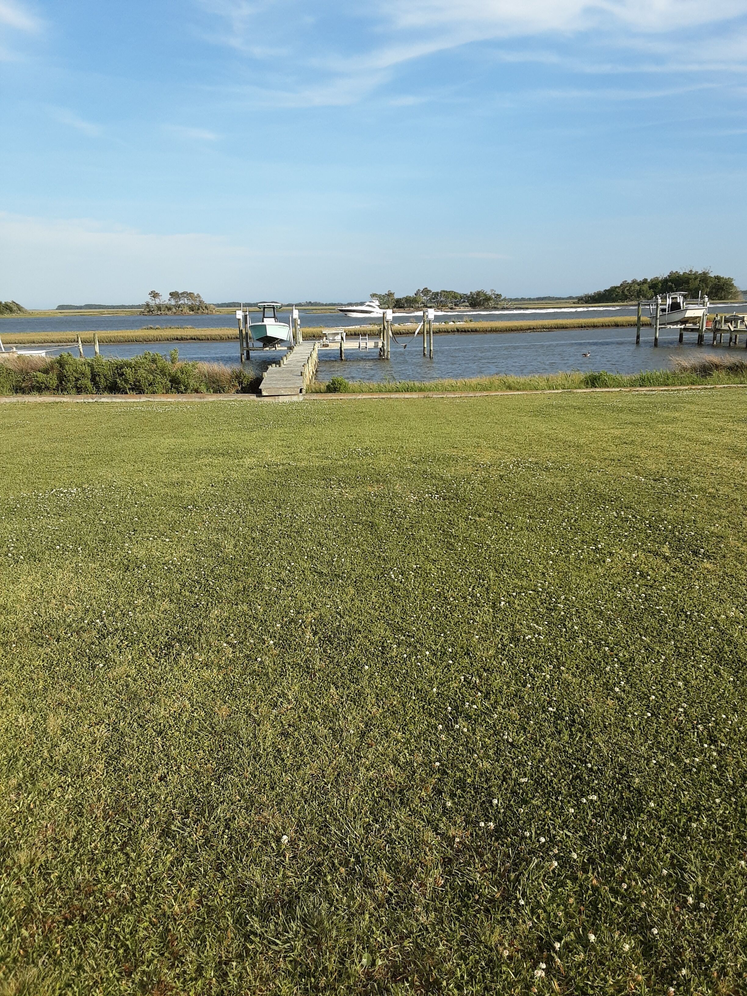 A grassy field with a dock extending into a body of water, surrounded by marshland and distant trees.