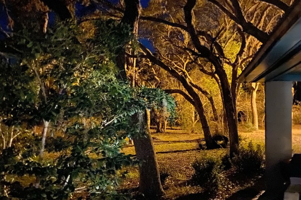 Detall de l'interior