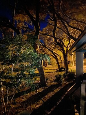 DĂ©tail de lâintĂ©rieur