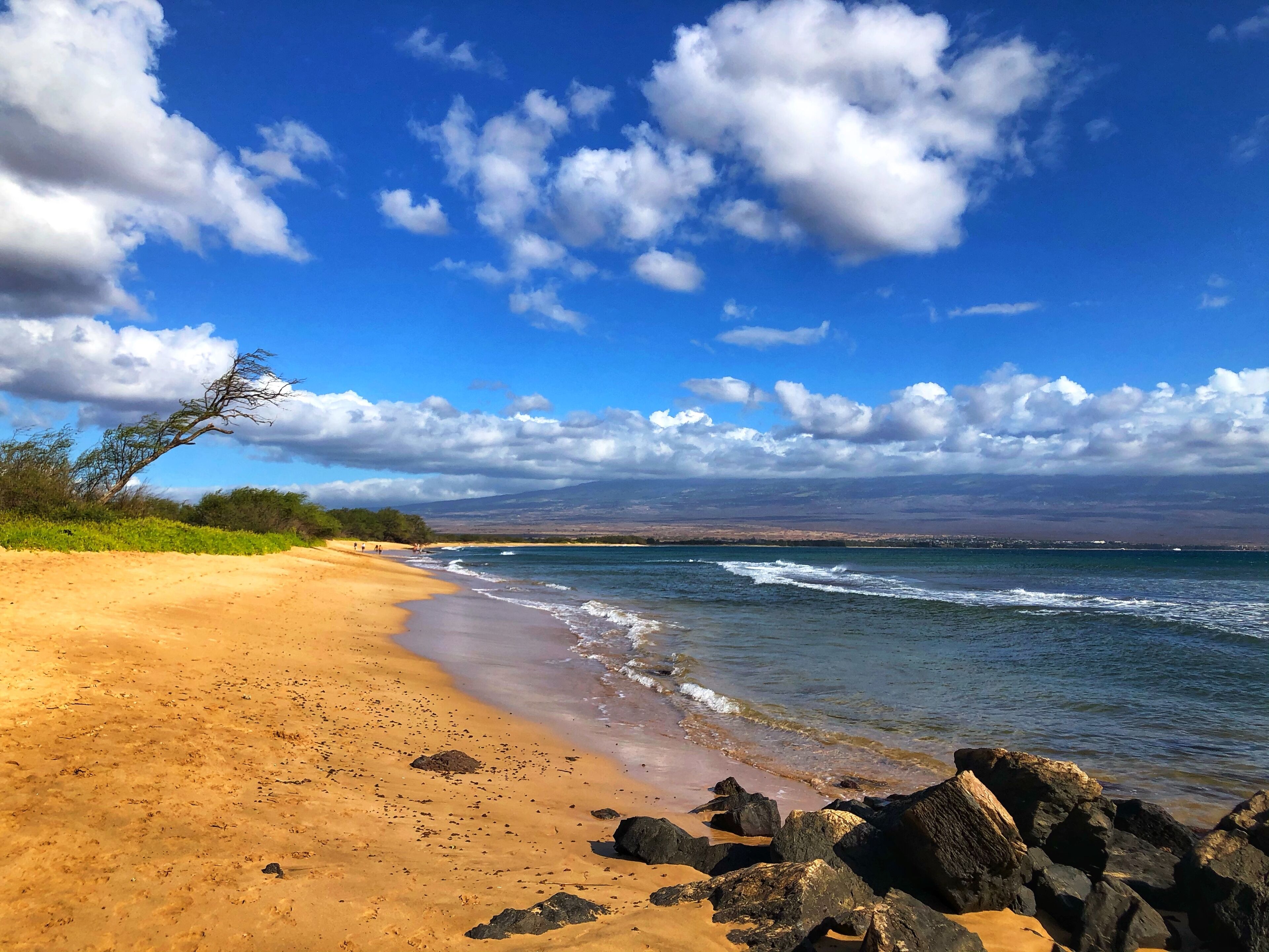 On the beach, sun loungers, beach towels