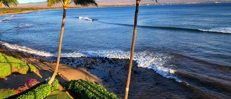 ビーチ、サンラウンジャー、ビーチタオル