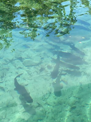 Photo non classée, 5 sur 28, bouton