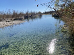 Miscellaneous - Rio Escondido Dragon Fly (UVALDE)