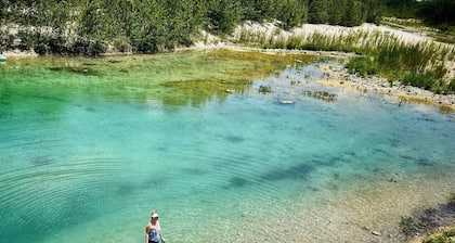 Rio Escondido Dragon Fly