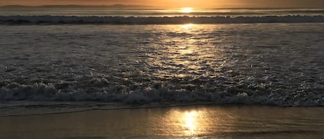 在海滩、沙滩椅、海滩遮阳伞