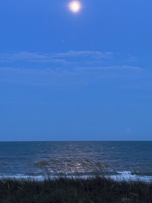 On the beach - Oceanfront Condo - 2 bedroom, 2 bath. Relax and Enjoy (North Myrtle Beach)