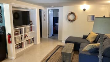 Smart TV, fireplace, books