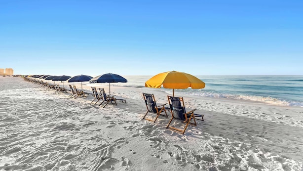 Een strand met rijen strandstoelen en parasols, een heldere lucht en de oceaan op de achtergrond.