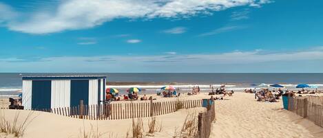 Plage à proximité