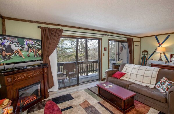 TV, fireplace, DVD player