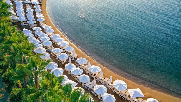 An aerial view of a beach with rows of white sun loungers and umbrellas, lined with palm trees. - Crystal Land Of Paradise Beach Hotel (Alanya)