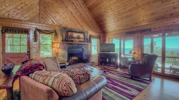 TV, fireplace, DVD player, books