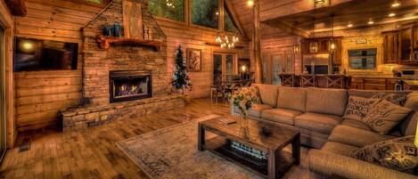 TV, fireplace, video games, DVD player