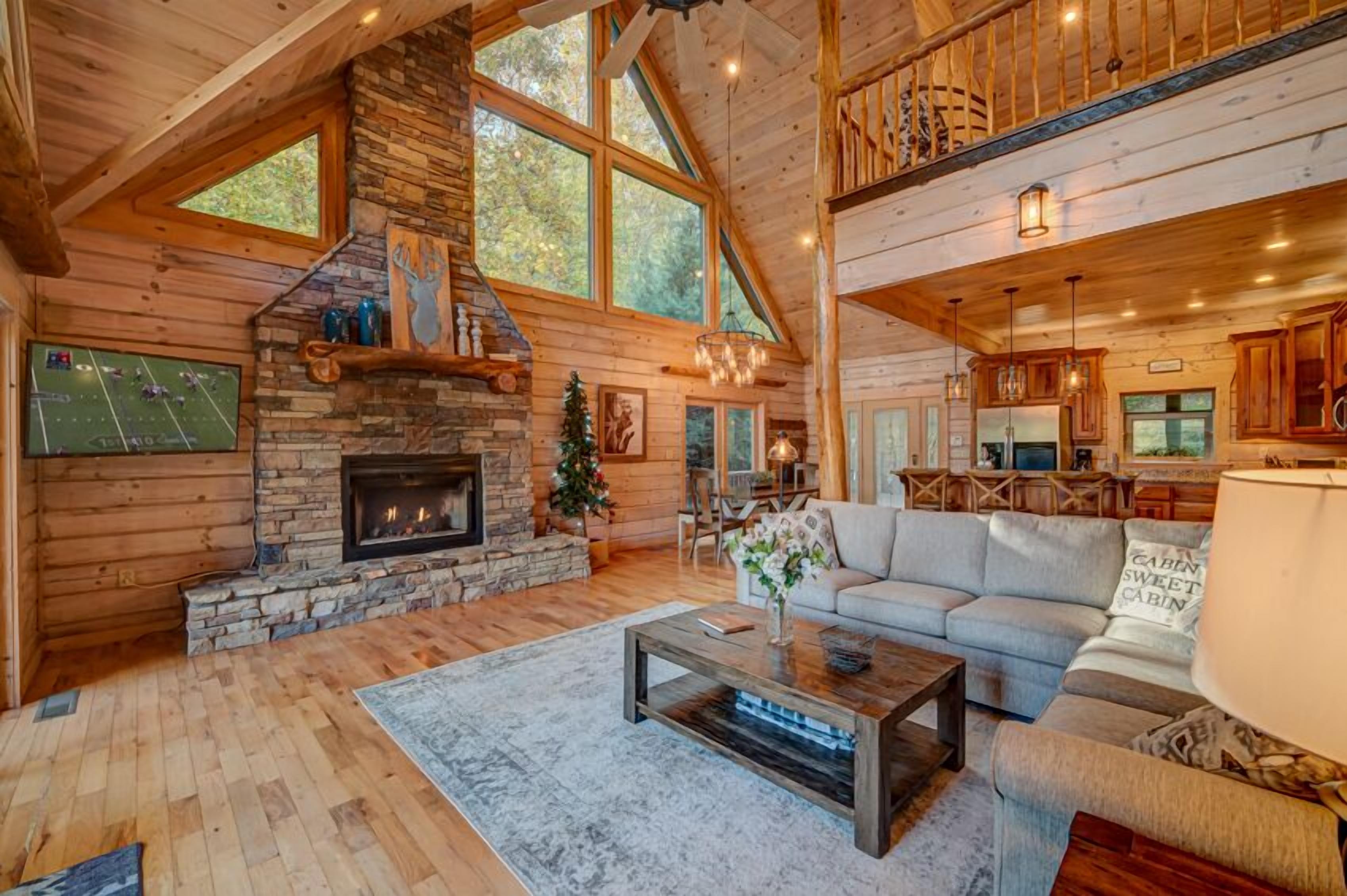 TV, fireplace, video games, DVD player