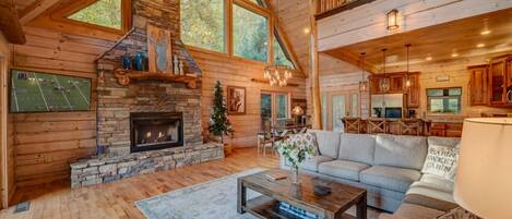 Télévision, cheminée, jeux vidéo, lecteur de DVD