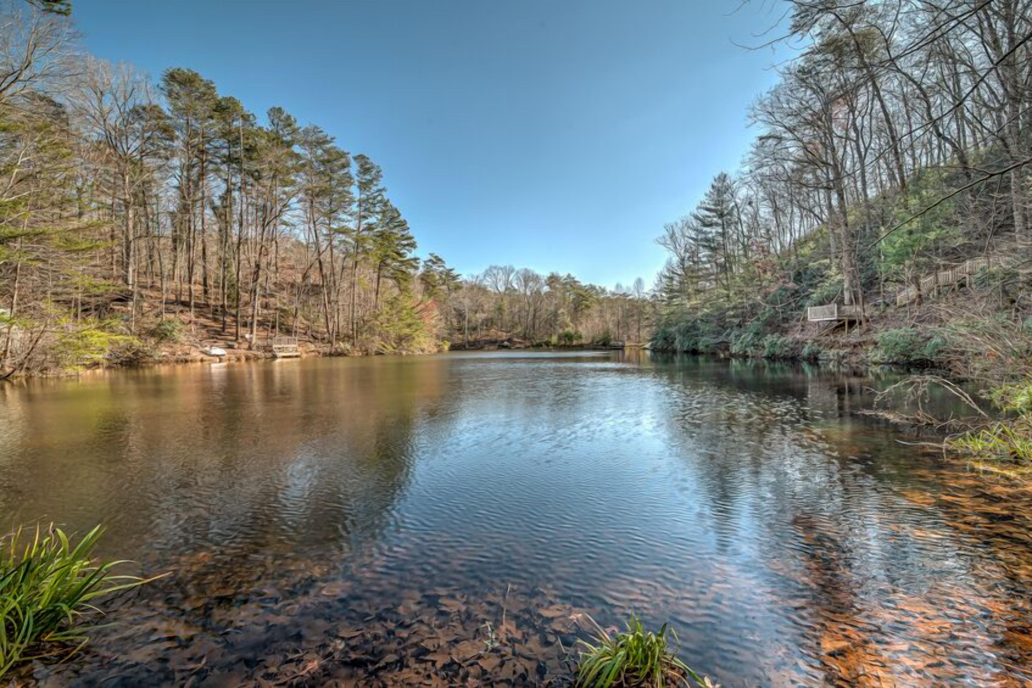 Une rivière paisible, bordée d’arbres.