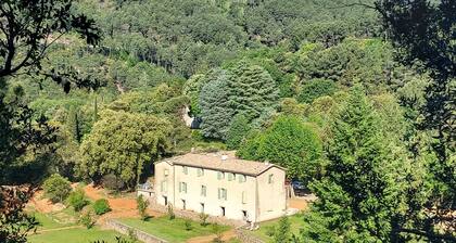 Rare place: Bed and breakfast surrounded by nature with breakfasts