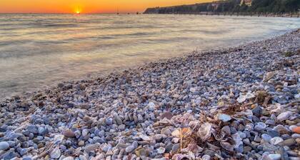 House In The Vineyards