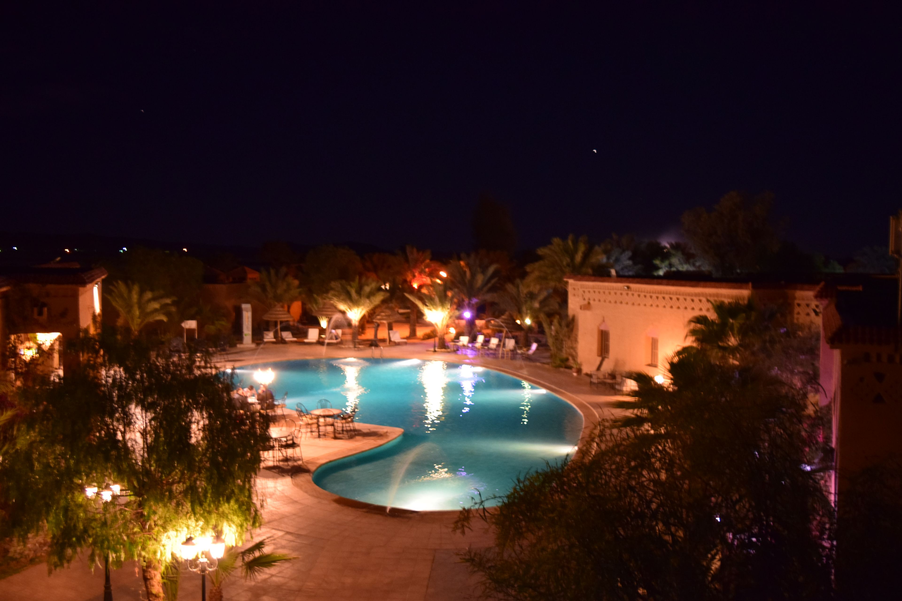 A nighttime view of a swimming pool surrounded by palm trees and lounge chairs, with a building in the background.