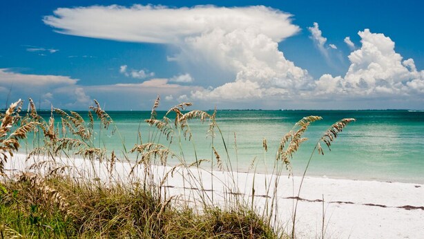 Une plage de sable blanc bordée d’une eau turquoise et cristalline.