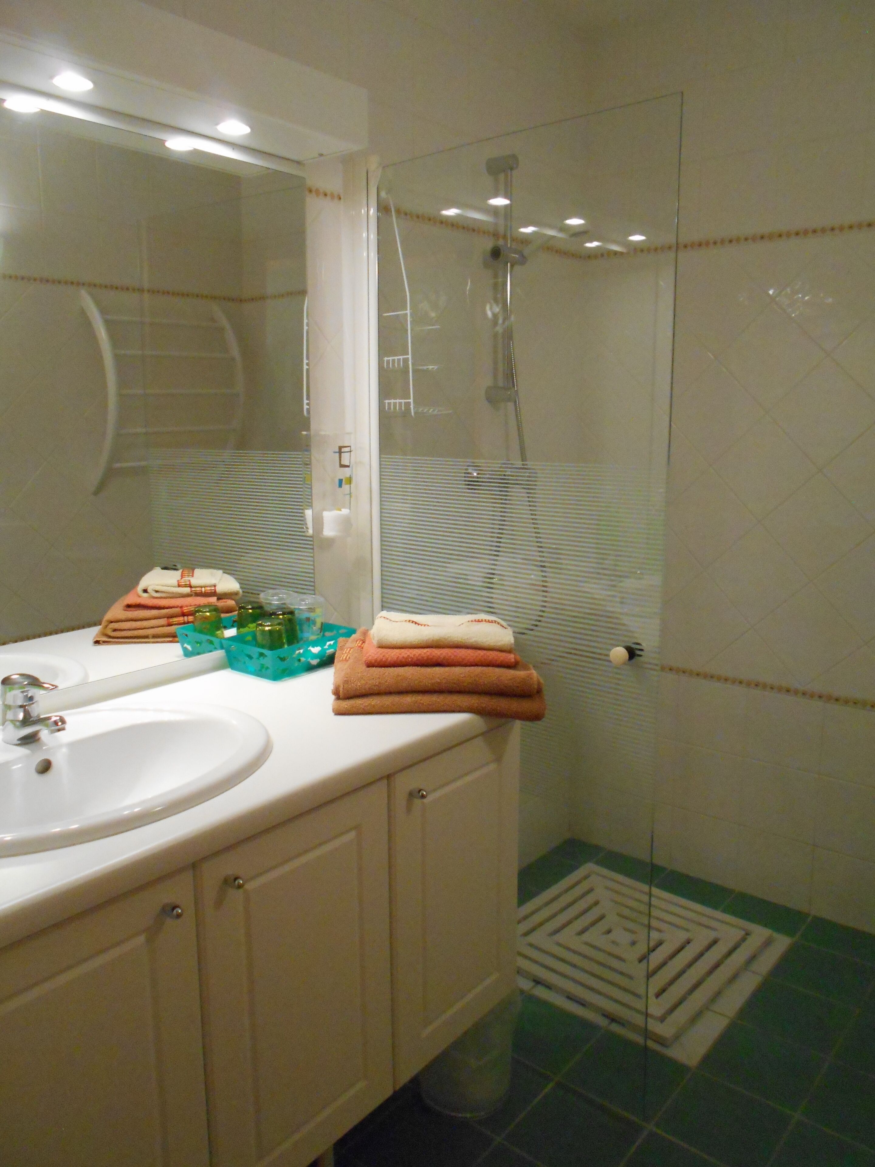 تجهيزات دش، مجففات شعر، مناشف، صابون