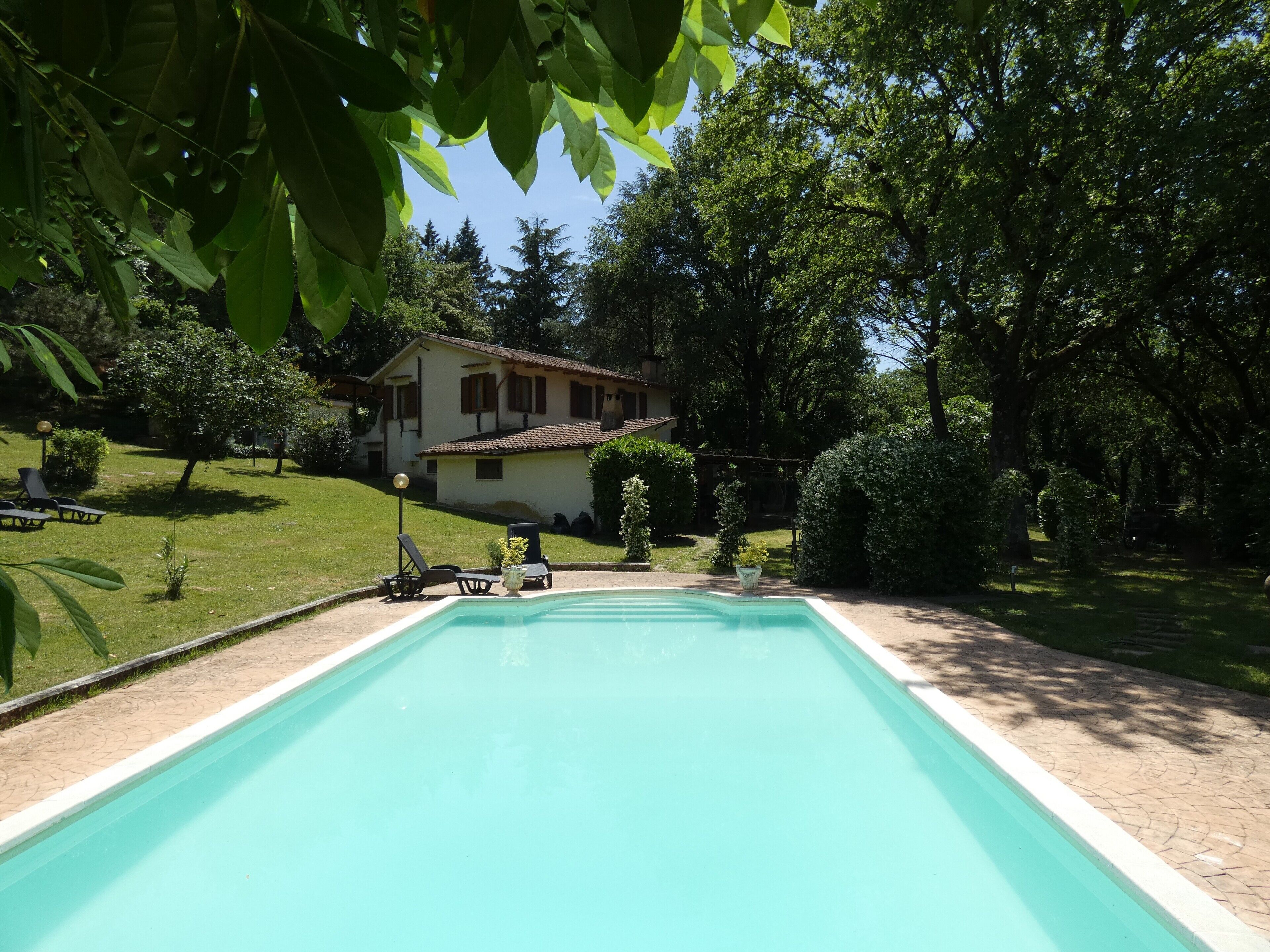 Une piscine avec une maison en arrière-plan, le tout entouré de verdure.
