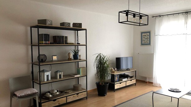 Ein Wohnzimmer mit Bücherregal, Fernseher, Pflanze und Couchtisch.