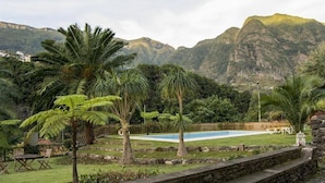 Una piscina envoltada de palmeres i una paret de pedra, amb muntanyes al fons.
