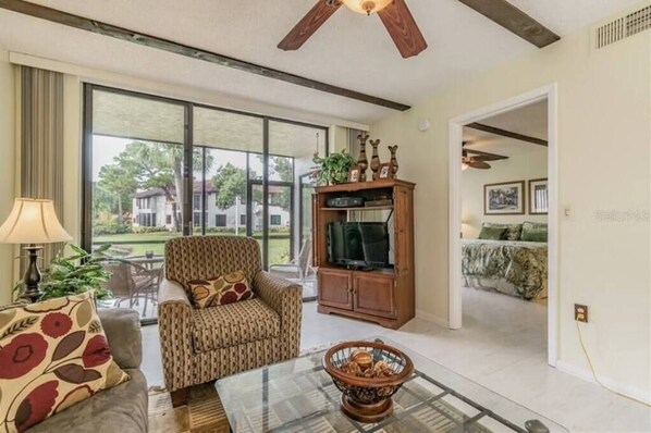 Tv, ett bordtennisbord och en stereo