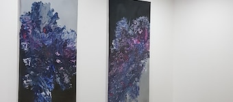 Janara - Arechi superior