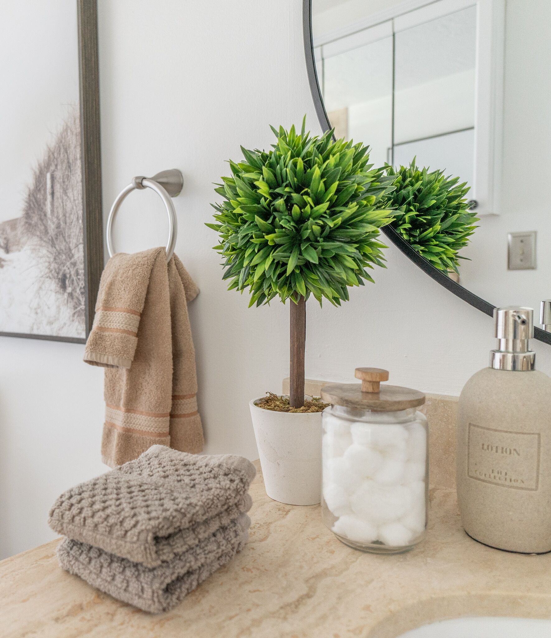 Une salle de bain avec un lavabo, un miroir, une plante en pot, un porte-serviettes et un flacon de lotion.