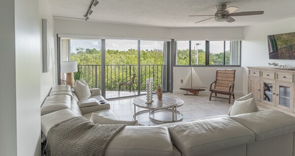 TV, DVD player, books, stereo