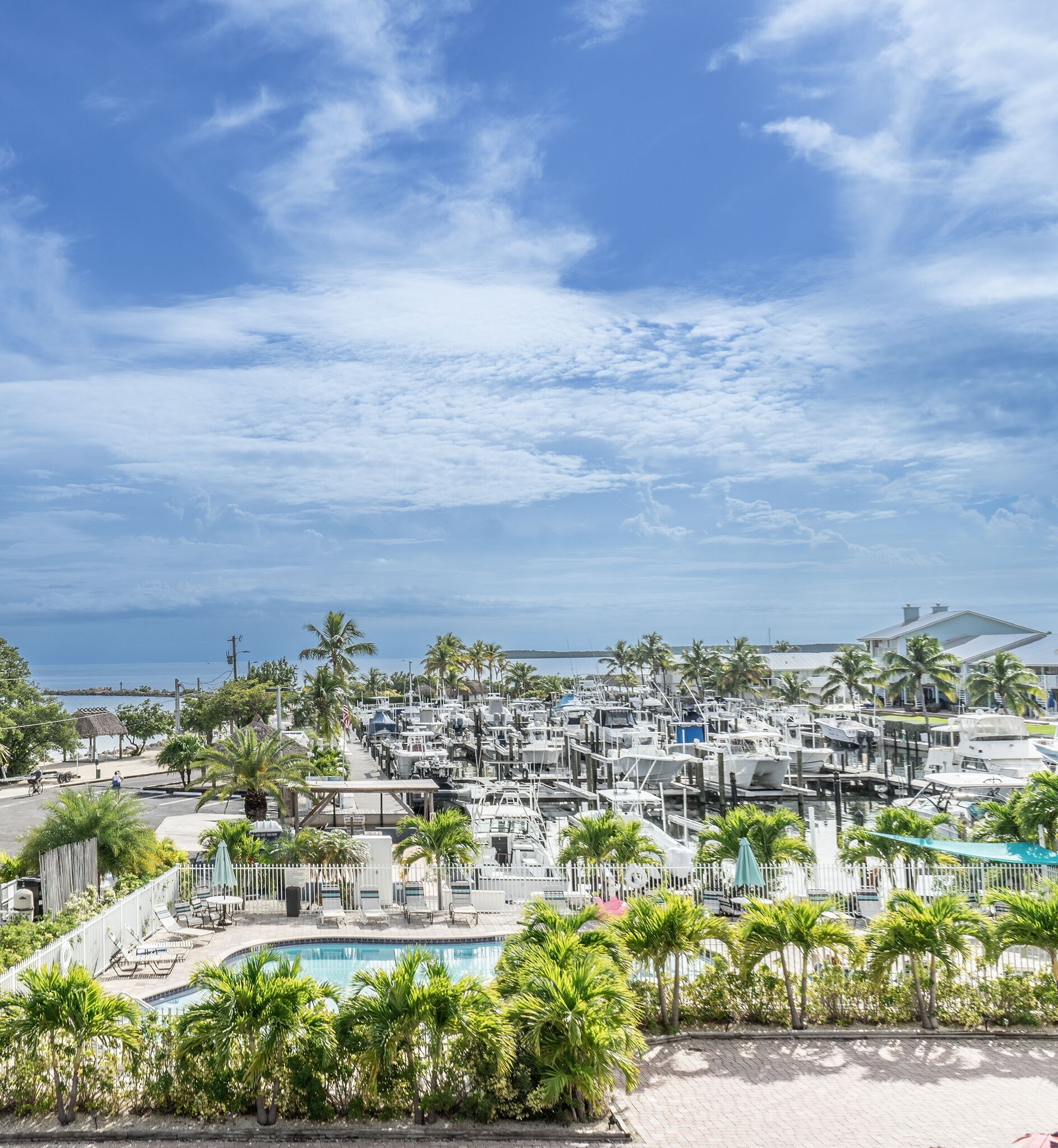 A marina with boats docked, a swimming pool, and palm trees.