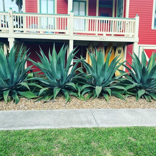 Cozy Bungalow located 2 blocks from the beach-