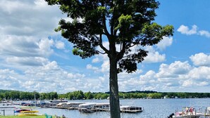 Un espacio cubierto de césped con un gran árbol, mesas de picnic y un muelle con barcos.