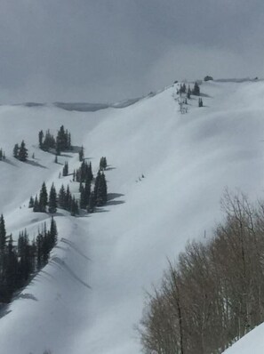 Snow and ski sports - Luxurious Ski In/ Ski Out 1 BR, 2 Bath Premier Suite 1/22/21-1/25/21 (Park City)