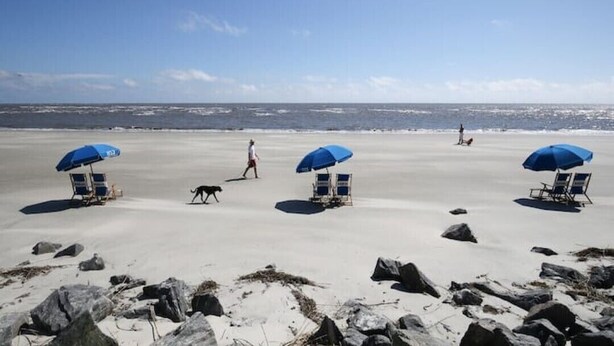 Une plage avec trois parasols bleus, des chaises de plage et un chien qui se promène sur le sable.